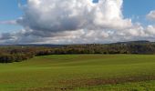 Randonnée Marche Anhée - Haut-le-Wastia - Salet - Foy - Montaigle - Photo 2