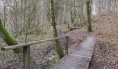 Trail Walking Saint-Hubert - Domaine provincial de Mirwart - tour par Le Parc - Les étangs St Roch - Promenade du Vieux Moulin - Photo 2