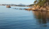 Tour Wandern La Londe-les-Maures - De l'Argentière à la Vignasse A/R 02-02-24 - Photo 4