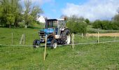 Tocht Stappen Chaumont-Gistoux - #210507 Dion-le-Mont, Pisselet et Louvranges - Photo 14