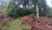 Percorso Marcia Seraing - les bois de l abbaye - Photo 8
