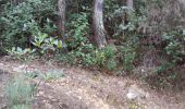 Trail Walking Sanary-sur-Mer - Gros cerveau  - Photo 7