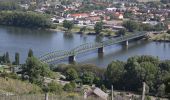 Tour Zu Fuß Unknown - Stein a.d. Donau-Fesslhütte über Hengelwand (grün) - Photo 8