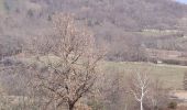 Randonnée Marche Champdieu - Randonnée sur les hauteurs de Champdieu  - Photo 4