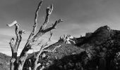 Tocht Stappen Saint-Raphaël - Pk Belle Barbe - Baisse des Sangliers - Pic Cap Roux - Grotte St Honorat - Photo 12