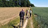 Trail Walking Villers-la-Ville - ELVOBAL-VILLERS LA VILLE- JUIN 2020 - Photo 3