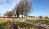 Tour Wandern Steenbergen - Nieuw Vossemeer, langs de Eendracht - Photo 1