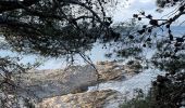 Trail Walking Le Pradet - Fort bayarde - Photo 18