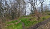 Randonnée Marche Liège - montée bois de St Jacques . traversée par sart aux fraises . descente ruisseau de kinkempois - Photo 13