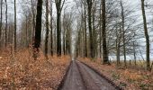 Tocht Stappen Libramont-Chevigny - Laneuville 180221 - Photo 2