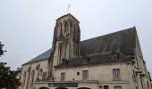 Tour Wandern Bourgueil - Bourgueil le Picard - GRP Coteaux de Bourgueil - 24.3km 325m 5h25 (45mn) - 2024 10 30 - Photo 2