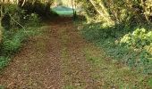 Tour Wandern Coadout - Coadout, saint Ildud - Photo 5