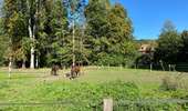 Randonnée Marche Saint-Arnoult-en-Yvelines - St Arnault - Sonchamp - Photo 1