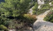 Trail Walking Marseille - goudes marseilleveyre - Photo 1