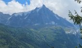 Tocht Stappen Les Houches - J3 - Les Chavants - Chamonix Centre - Photo 5