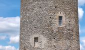 Trail Walking Athée-sur-Cher - Athée-sur-Cher - Chandon - Tour du Brandon - 21.2km 160m 4h40 (50mn) - 2025 05 10 - Photo 8