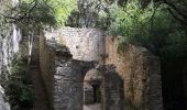 Excursión Senderismo Joucas - Joucas - Les gorges de Véroncle - Photo 16