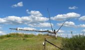 Tour Wandern Namen - IHMN wierde  - Photo 1