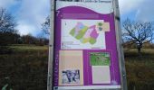 Tocht Stappen Luik - liège - angleur  - Photo 13