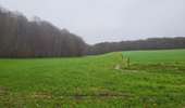 Tour Wandern Jemeppe-sur-Sambre - Spy 191224 - Photo 2