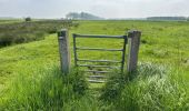 Tocht Stappen Sluis - Aardenburg 19 km - Photo 12