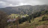 Randonnée Marche Orbey - Vallée des 5 lacs  - Photo 16