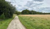 Tour Wandern Drogenbos - Drogenbos Beersel 8,4 km - Photo 10