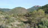 Tocht Stappen Saint-Raphaël - agay . Le perthus . Le lac de guiran.le ravin du perthus - Photo 4