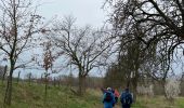 Tour Wandern Bilzen - Malou - Photo 5