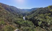 Tour Wandern Hohenfels - rando nadrin 10-09-2023 - Photo 16