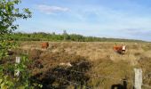 Tour Wandern Stoumont - Stoumont - la Vecquée - Photo 10