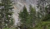 Tour Wandern Flitsch - Etape 3 : hut to hut  - Photo 3