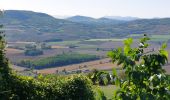 Tocht Stappen Les Martres-de-Veyre - PUY DE CORENT - Photo 6