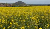 Tour Wandern Châtelet - Marche éphémères Ecureuil - Photo 4