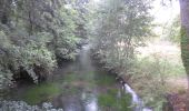 Tour Wandern Elbeuf-sur-Andelle - 20220823-Elbeuf sur Andelle  - Photo 7