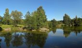 Tocht Te voet Gemeinde Gmünd - Themenweg MARIENkäferWEG - Photo 6