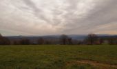 Trail Walking Durbuy - trek GR57 étape 5 : Bomal-sur-Ourthe - Weris - Photo 18
