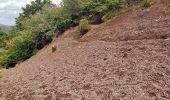 Excursión Senderismo Orcines - Puy de Dôme  - Photo 4