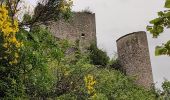 Tocht Stappen La Roche-sur-le-Buis - 240608 - Roche sur Buis  - Photo 1