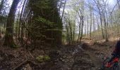 Randonnée V.T.T. La Roche-en-Ardenne - VTT autour des villages de la Roche en Ardenne - Photo 10