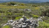Tour Wandern Vence - Blaquiere - Photo 3