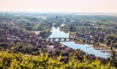 Tour Zu Fuß Joigny - Boucle 25 km Joigny La Roche - Photo 10