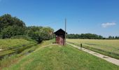 Excursión A pie Einhausen - Rundwanderweg Lorsch Teschenauer Berg 2: Gewässer-Lehrpfad - Photo 7