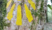 Trail Walking Williers - chameleux - Photo 1