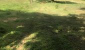 Trail Walking Sainte-Anne - Saragotte  - Photo 8