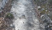 Trail Walking Mazan - Maean, Sentier des pierres seches  - Photo 17