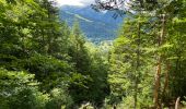 Trail Walking Saint-Pierre-de-Chartreuse - Col des Aures 8 km - Photo 5