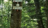 Trail Walking Vœgtlinshoffen - 2020-06-12 Abbaye de Marbach / Bildstoeckle - Photo 7