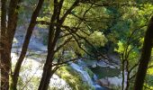 Excursión Senderismo Termes - Termes ( Aude )  + les gorges de Terminet +le Nitable roc - Photo 19