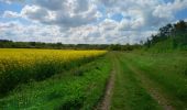 Trail Walking Artannes-sur-Indre - Artannes-sur-Indre - Zig zag Pont-de-Ruan - 22.1km 280m 4h50 (40mn) - 2024 04 22 - Photo 2